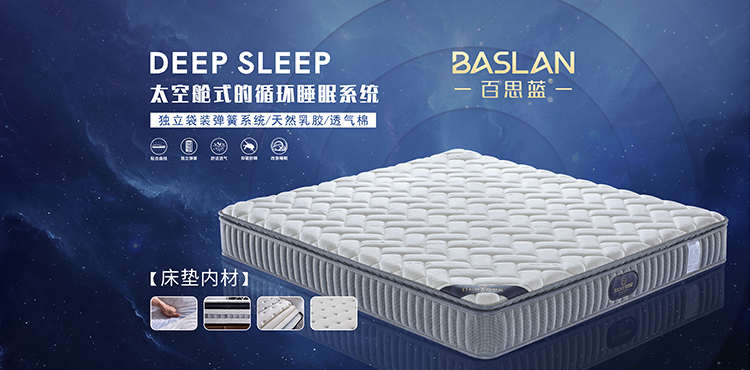佛山市百思蓝家具有限公司